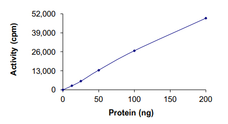 Functional Studies - Recombinant human c-Kit protein (AB205798), expandable thumbnail