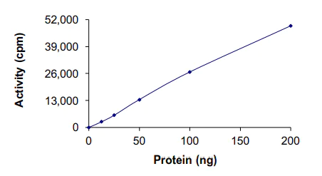 Functional Studies - Recombinant human c-Kit protein (AB205798)
