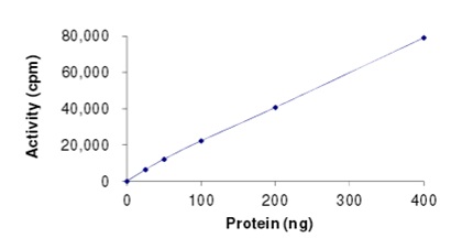 Functional Studies - Recombinant human c-Kit protein (AB205798), expandable thumbnail
