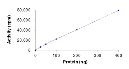 Functional Studies - Recombinant human c-Kit protein (AB205798)