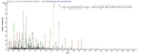 Mass Spectrometry - Recombinant Human C4orf27 protein (Tagged) (AB239559)