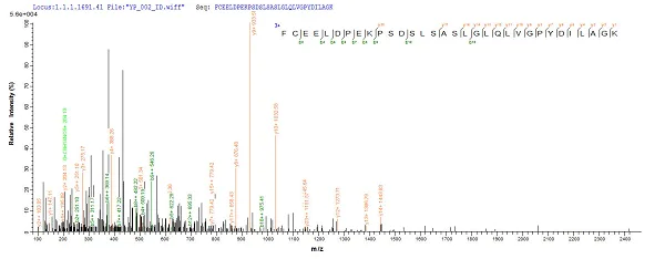 Mass Spectrometry - Recombinant Human C4orf27 protein (Tagged) (AB239559)