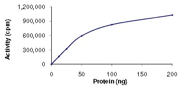 Functional Studies - Recombinant human CAMK1G protein (AB101503)