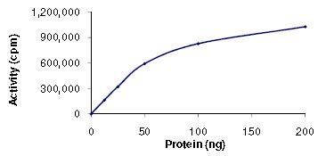 Functional Studies - Recombinant human CAMK1G protein (AB101503)
