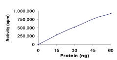 Functional Studies - Recombinant human CaMKII alpha protein (AB60899)