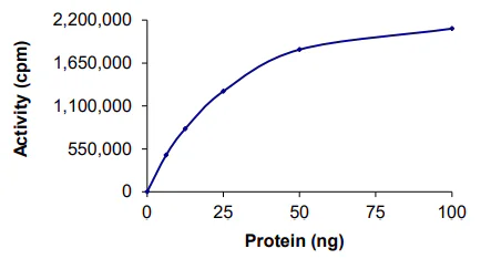 Functional Studies - Recombinant human CaMKII alpha protein (GST tag N-Terminus) (AB60899)