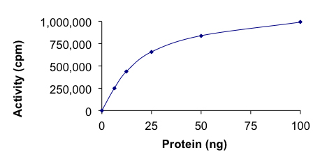 Functional Studies - Recombinant human CaMKII beta protein (Active) (AB268377), expandable thumbnail