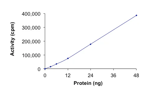 Functional Studies - Recombinant human CamKII gamma protein (Active) (AB268378)