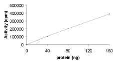 Recombinant Human CAMKIV protein