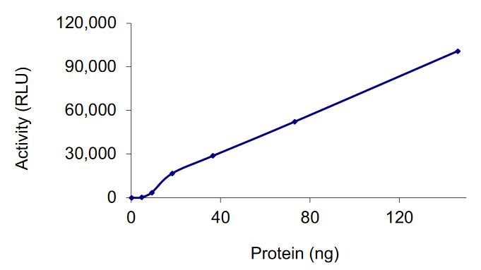 Functional Studies - Recombinant human CAMKK2 protein (Active) (AB268380)
