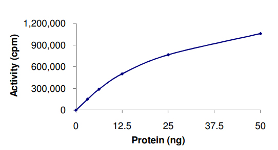 Recombinant human cAMP Protein Kinase Catalytic subunit
