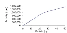 Functional Studies - Recombinant human cAMP Protein Kinase Catalytic subunit (GST tag N-Terminus) (AB56268)