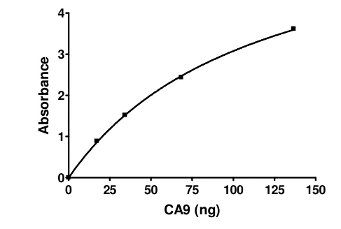 Functional Studies - Recombinant human Carbonic Anhydrase 9/CA9 protein (Active) (AB198056)