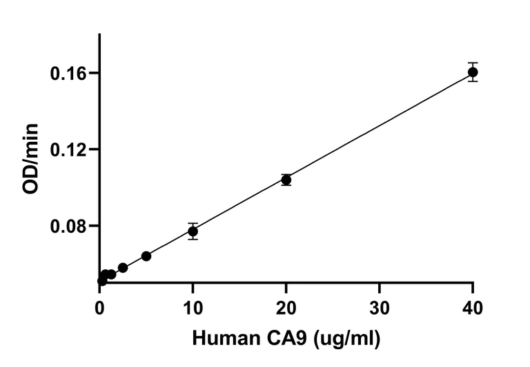 Biological Activity - Recombinant Human Carbonic Anhydrase 9 / CA9 Protein (Active) (AB290062)
