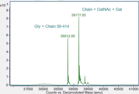 Mass Spectrometry - Recombinant Human Carbonic Anhydrase 9 / CA9 Protein (Active) (AB290062), expandable thumbnail