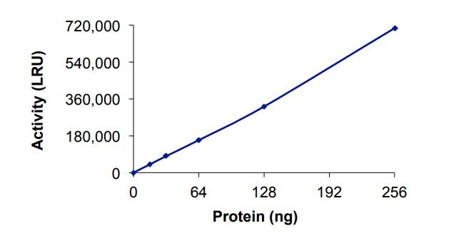 Functional Studies - Recombinant human CARM1 protein (Active) (AB268888)