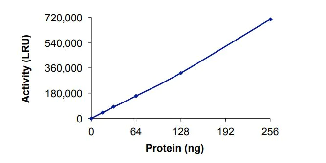 Functional Studies - Recombinant human CARM1 protein (Active) (AB268888)