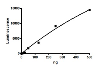 Functional Studies - Recombinant human CARM1 protein (DDDDK tag N-Terminus) (AB196401)