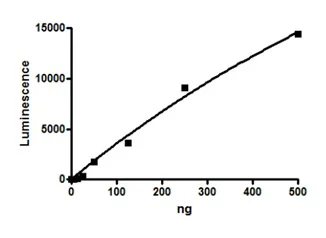 Functional Studies - Recombinant human CARM1 protein (DDDDK tag N-Terminus) (AB196401)