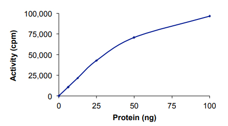 Functional Studies - Recombinant human Casein Kinase 1 delta/CSNK1D protein (AB103955)