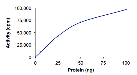 Functional Studies - Recombinant human Casein Kinase 1 delta/CSNK1D protein (AB103955)