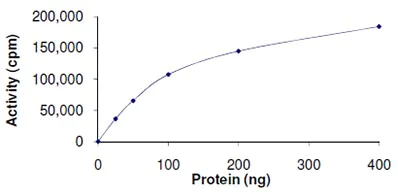 Functional Studies - Recombinant human Casein Kinase 1 delta/CSNK1D protein (AB103955)