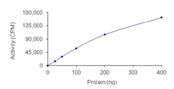 Recombinant human Casein Kinase 1 gamma 2 protein