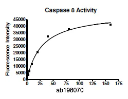 Functional Studies - Recombinant human Caspase-8 protein (His tag C-Terminus) (AB198070)