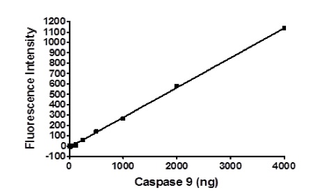Functional Studies - Recombinant human Caspase-9 protein (His tag C-Terminus) (AB198061)