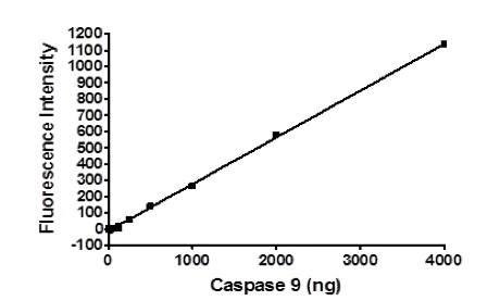 Functional Studies - Recombinant human Caspase-9 protein (Tagged) (AB198061)