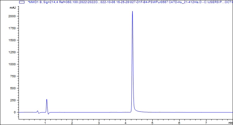 HPLC - Recombinant Human Cathepsin D Protein (His tag) (Active) (AB307480), expandable thumbnail
