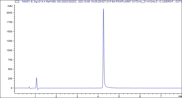 HPLC - Recombinant Human Cathepsin D Protein (His tag) (Active) (AB307480)