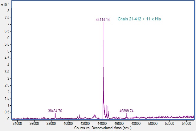 Mass Spectrometry - Recombinant Human Cathepsin D Protein (His tag) (Active) (AB307480), expandable thumbnail