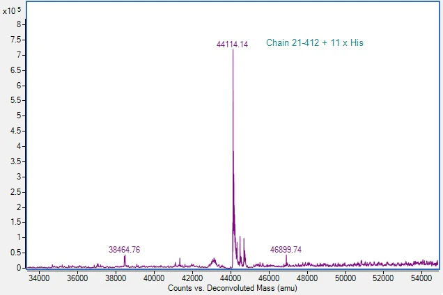 Mass Spectrometry - Recombinant Human Cathepsin D Protein (His tag) (Active) (AB307480)