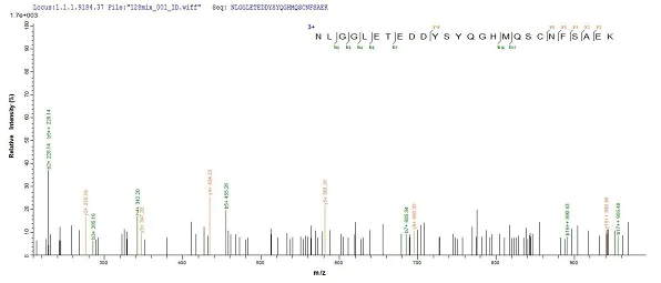 Mass Spectrometry - Recombinant Human Cathepsin F protein (His tag) (AB240858)