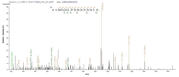 Mass Spectrometry - Recombinant Human Cathepsin F protein (His tag) (AB240858)