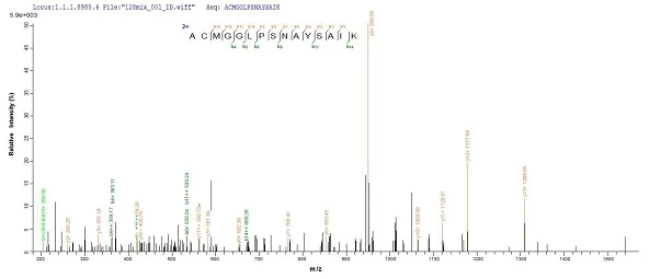 Mass Spectrometry - Recombinant Human Cathepsin F protein (His tag) (AB240858)
