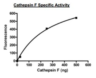 Functional Studies - Recombinant human Cathepsin F protein (His tag C-Terminus) (AB198436)