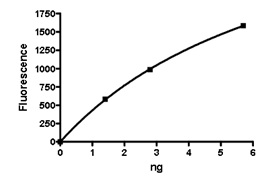 Functional Studies - Recombinant human Cathepsin L/MEP protein (AB198444), expandable thumbnail