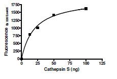Functional Studies - Recombinant human Cathepsin S protein (His tag C-Terminus) (AB198162)
