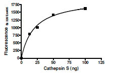 Functional Studies - Recombinant human Cathepsin S protein (His tag C-Terminus) (AB198162)