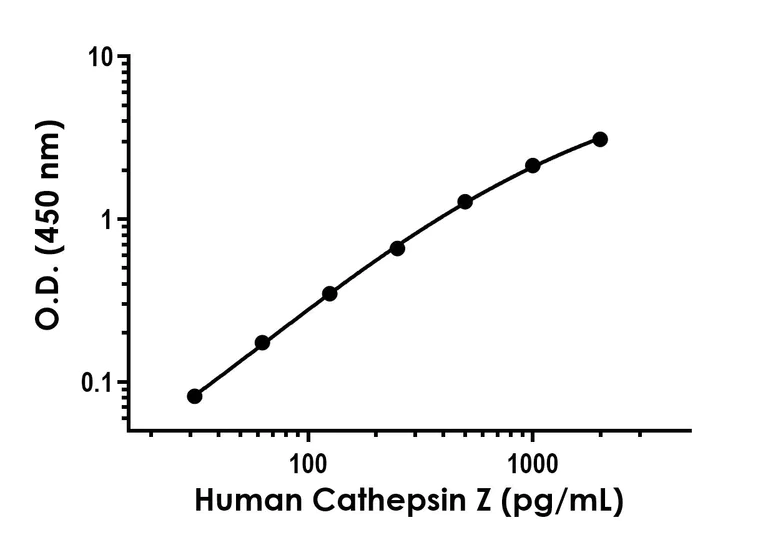 Sandwich ELISA - Recombinant Human Cathepsin Z Protein Standard (His tag) (AB316507)