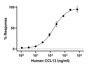 Biochemical assay - Recombinant Human CCL13 Protein (Active) (AB283922)