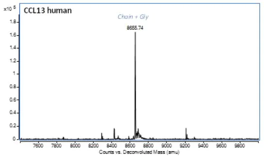 Mass Spectrometry - Recombinant Human CCL13 Protein (Active) (AB283922)