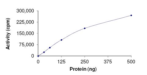 Functional Studies - Recombinant human CCNO protein (Active) (AB177582), expandable thumbnail