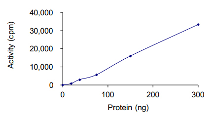 Functional Studies - Recombinant human CCNO protein (Active) (AB177582), expandable thumbnail
