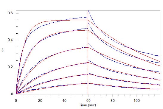 Functional Studies - Recombinant human CD134 / OX40L receptor protein (Active) (AB221231), expandable thumbnail