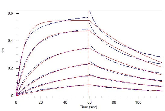Functional Studies - Recombinant human CD134 / OX40L receptor protein (Active) (AB221231)