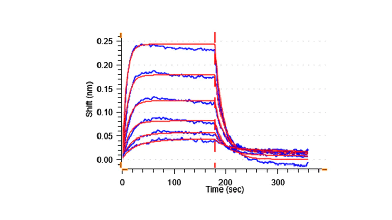 Biological Activity - Recombinant Human CD134 / OX40L receptor Protein (His-tag) (Active) (AB307791)