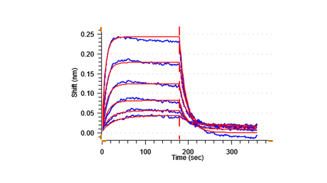 Functional Studies - Recombinant Human CD134 / OX40L receptor Protein (His-tag) (Active) (AB307791)